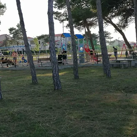 Apartman Near Sabunike-zadar Riviera 55036 Nin