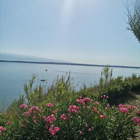 Near Sabunike-zadar Riviera 55036 Nin