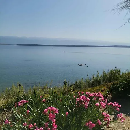 Near Sabunike-zadar Riviera 55036 Appartement *